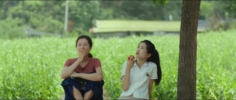 Little Forest (2018): A reflective year in rural Korea