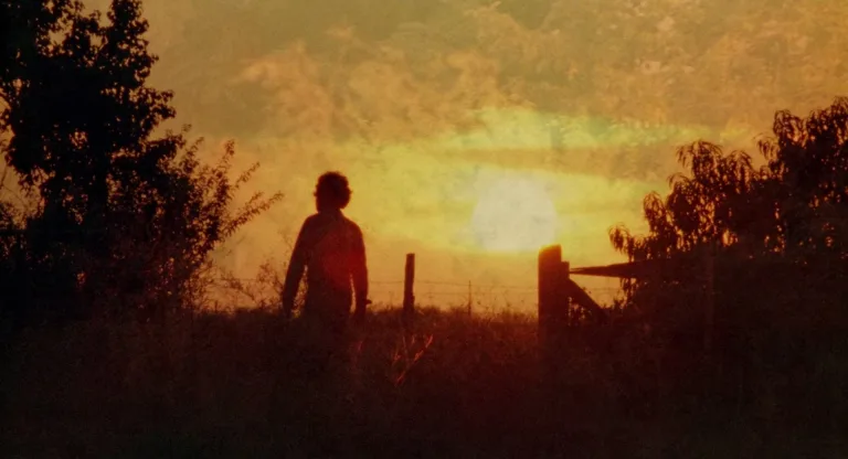 The Texas Chain Saw Massacre (1974): Raw Horror Realism