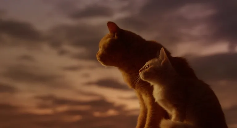 Rent-a-Cat (2012): The furry companions