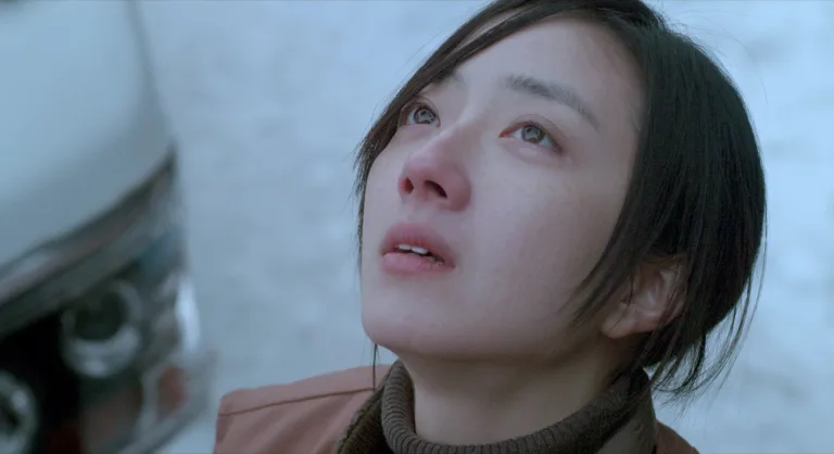 Black Coal, Thin Ice (2014): Doomed by the cold