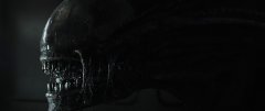 Alien-Covenant-2017-stills-50