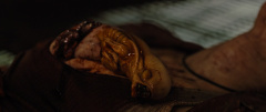 Alien-Romulus-2024-stills-27