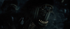 Alien-Romulus-2024-stills-44