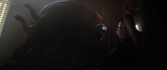 Alien-Romulus-2024-stills-49