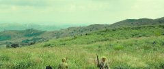 Assassination-2015-stills-09