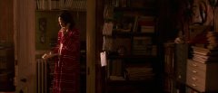 Bunny-and-the-Bull-2009-stills-05