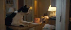 Can-You-Ever-Forgive-Me-2018-stills-14