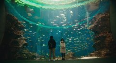 Cells-at-Work-2024-stills-29