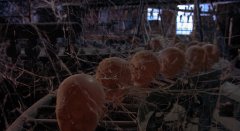 Childs-Play-3-1991-stills-01