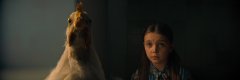 Dust-Bunny-2025-stills-16