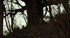 Exhuma-2024-stills-10