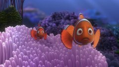 Finding-Nemo-2003-stills-02