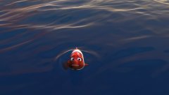 Finding-Nemo-2003-stills-12