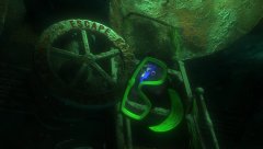 Finding-Nemo-2003-stills-18