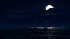 Finding-Nemo-2003-stills-21