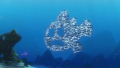 Finding-Nemo-2003-stills-30