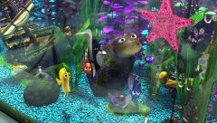 Finding-Nemo-2003-stills-39