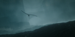 Flow-2024-stills-45