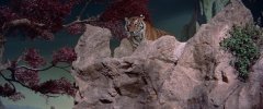 Forbidden-Planet-1956-stills-31