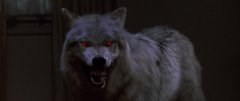 Fright-Night-1985-stills-39