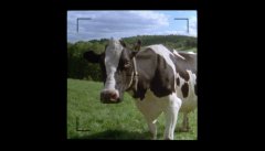 Funny-Farm-1988-stills-04