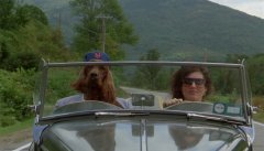 Funny-Farm-1988-stills-21