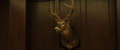 Get-Out-2017-stills-52
