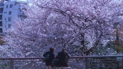 Hana-and-Alice-2004-stills-06