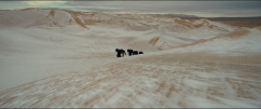 Harbin-2024-stills-24