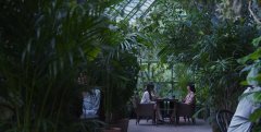 Hidden-Face-2024-stills-24