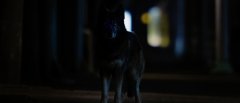 Howling-2012-stills-16