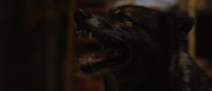 Howling-2012-stills-32