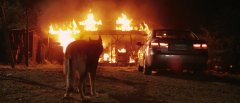 Howling-2012-stills-34