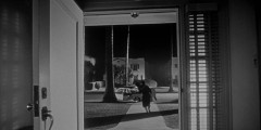 Invasion-of-the-Body-Snatchers-1956-stills-025