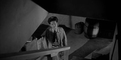 Invasion-of-the-Body-Snatchers-1956-stills-032