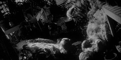 Invasion-of-the-Body-Snatchers-1956-stills-040