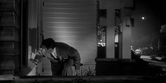 Invasion-of-the-Body-Snatchers-1956-stills-045