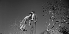 Invasion-of-the-Body-Snatchers-1956-stills-060