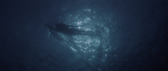 Jaws-1975-stills-02