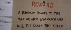 Jaws-1975-stills-10