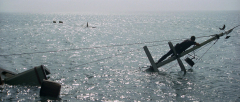 Jaws-1975-stills-58
