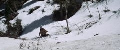 Jeremiah-Johnson-1972-stills-41