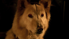 John-Dies-at-the-End-2012-stills-52