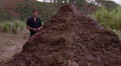 Jurassic-Park-1993-stills-26