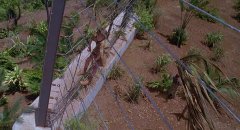 Jurassic-Park-1993-stills-52