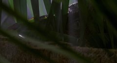 Jurassic-Park-1993-stills-53