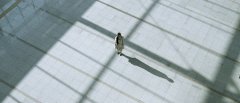 Lady-Vengeance-2005-stills-03