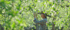 Little-Forest-2018-Stills-06