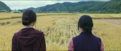 Little-Forest-2018-Stills-58