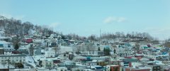 Moonlit-Winter-2019-stills-35